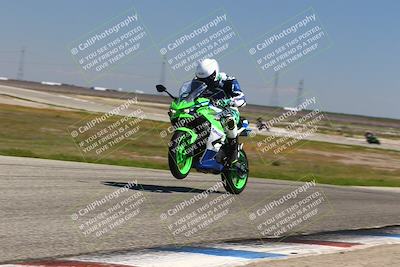 media/Mar-24-2025-2WTD (Mon) [[55b4b08488]]/B Group/1220pm (Wheelie Bump)/